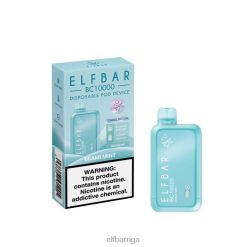 ELFBAR BC10000 vienreizējās lietošanas vape maiami piparmētra ZF06T293 - Elf Bar Cena