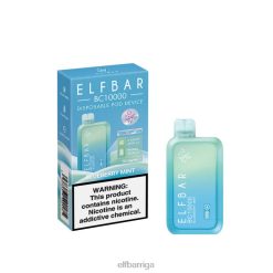 ELFBAR BC10000 vienreizējās lietošanas vape melleņu piparmētra ZF06T278 - Elf Bar Cena