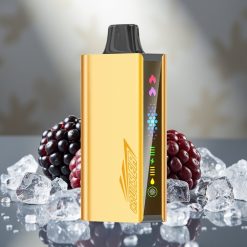 JNR Cruiser 12000 Puffs Bezlādējams Disposable Vape 25ml 50mg/mL 3500mAh Blackberry Ice