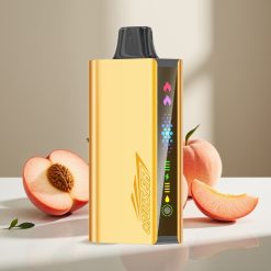 JNR Cruiser 12000 Puffs Bezmaksas Disposable Vape Persiku Ledus, 25ml, 50mg/ml
