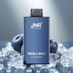 JNR Mega Box 25000 Puffs Disposable Vape Zemenes Ledus 30ml 850mAh Type-C