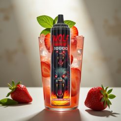 JNR Wolf Niplo 10000 Puffs Zemeņu Mojito 20ml 5% Type-C
